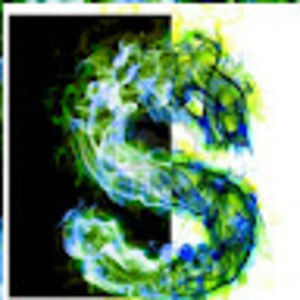 Meet your Posher, Scott